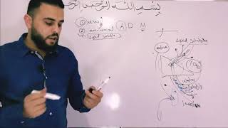 Pharmacology 1  drug metabolism [upl. by Klaus]