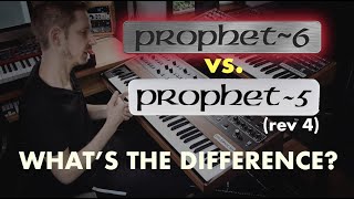 whats the difference between the prophet 5 reissue and the prophet 6 [upl. by Leddy]