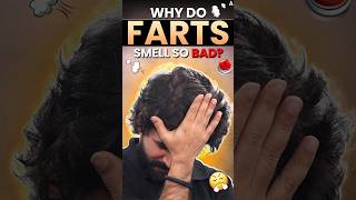 Why Do Farts Smell So Bad  shorts fartsfact sciencefact intestinalhealth shivamsir [upl. by Hochman]