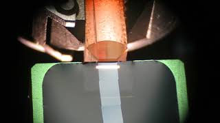 60 nanometer ribbon sectioning by Japanese knife [upl. by Ejrog985]