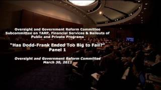 quotHas DoddFrank Ended Too Big To Failquot Panel 1 [upl. by Sinnod]