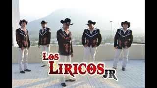 💃CUMBIAS MIX PERRONAS CON VIOLÍN 🎻LOS LIRICOS JR [upl. by Snow]