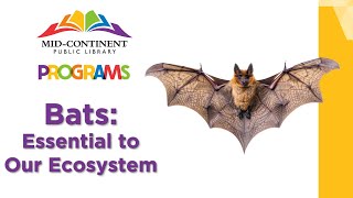 Bats Essential to Our Ecosystems  Community Programming [upl. by Atews]