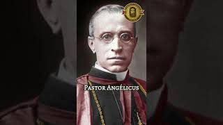 Pope Saint Pius XII the Great Pastor Angélicus October 9th [upl. by Nirmak]