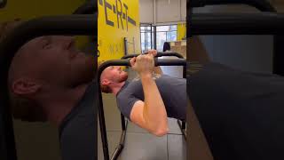 The BEST Inverted rows YOU can do  Calisthenics Bodyweight Exercises [upl. by Lledra]