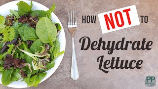 How to Dehydrate Lettuce  when it all goes wrong [upl. by Albric695]