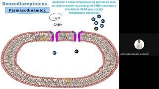 Fármacos ansiolíticos sedativos e hipnóticos Parte 1 [upl. by Devona]