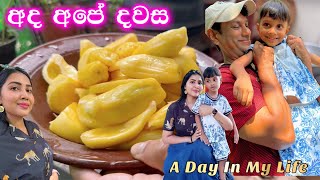 අපේ ලස්සන දවසක්  dehiwala zoo  a day in my life  ridma pilapitiya [upl. by Einaffets]