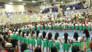 Alpha Kappa Alpha Alpha Psi Chapter Probate 2013  Tennessee State University [upl. by Assened]