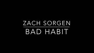 Bad Habit  Zach Sorgen lyrics [upl. by Roobbie484]