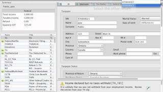 How to Switch Between Linked Returns using Canadian Tax Software TaxTron [upl. by Esinart]