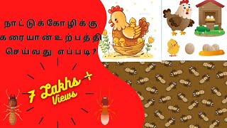 நாட்டுக்கோழிகளுக்கு கரையான் உற்பத்தி செய்வது எப்படி [upl. by Margareta]