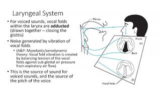 CSD2361 Speech Anatomy [upl. by Burwell]