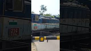 Joginder nagar Rail gadi Train joginder nagar [upl. by Pharaoh396]