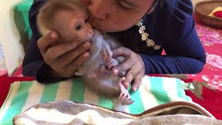 Oh God Mom Keep Kissing amp Soothing When Baby Monkey Jason Crying Inconsolable Starving For Milk [upl. by Notliw]