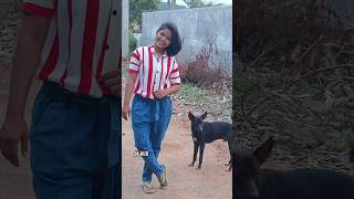 ❤️24JULY❤️🐕UNST🚫PPABLE L🤍VE STORY🐕❤️ PT01❤️dogcatlovemotivationbeautifulytshortsviralvideo [upl. by Attalie154]