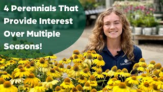 4 Perennials That Provide Interest Over Multiple Seasons [upl. by Sarge]