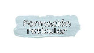 Formación reticular  Neuroanatomía [upl. by Kirimia232]