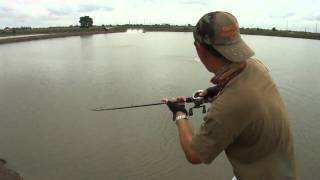 Shimano Antares DC7LV In Action By BKKGUY [upl. by Jaehne566]