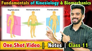 Fundamentals of Kinesiology and Biomechanics in Sports  Class 11  Unit  8  FREE Notes 🔥 [upl. by Charley]