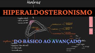 Hiperaldosteronismo  do básico ao avançado [upl. by Notsecnirp]