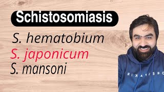 Lec18  Schistosomiasis blood fluke  Bilharziasis  japonicum mansoni  haematobium  UrduHindi [upl. by Eidda]