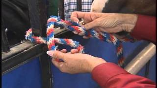 How to tie your horse safely and securely [upl. by Trinette]