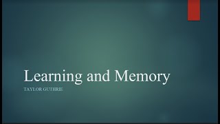 Learning and Memory [upl. by Ydoc]