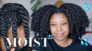 Moisturise DRY Natural Hair In 4 Easy Steps 🔢 Detailed wProduct Recommendations [upl. by Esinahs487]