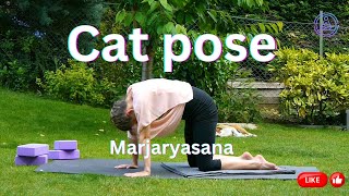 Marjaryasana  Cat pose  For beginners to learn and practice [upl. by Yeoz]