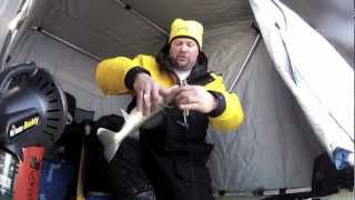 Fish Ed  First Ice Walleye [upl. by Eenal]