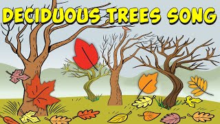 Deciduous Trees Song [upl. by Cyndie364]