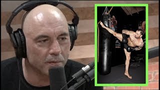 Joe Rogan Details His Martial Arts Background [upl. by Einotna]