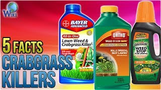 Crabgrass Killers 5 Fast Facts [upl. by Lamphere]