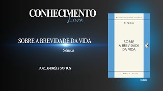 Resumo do livro  Brevidade da vida  Sêneca [upl. by Ynad]