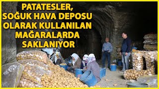 Afyonkarahisarda Patatesler Mağaralarda Depolanıyor [upl. by Olin808]