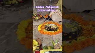 rudra rudraabhishek shiv shivshankar [upl. by Akirdnahs]