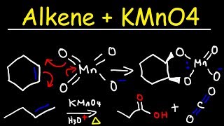 Alkene  KMnO4 Reaction [upl. by Dusen]