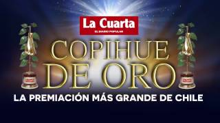 COPIHUE DE ORO 2016 [upl. by Ivy13]