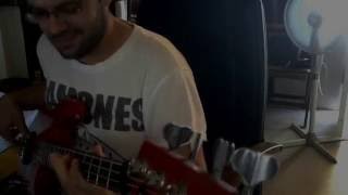 Alpha Blondy  Peace In Liberia Bass Cover By Nikos Lenis [upl. by Temirf655]