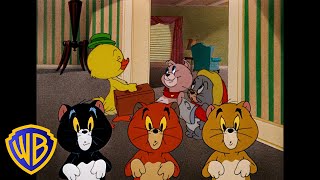 Tom amp Jerry in italiano 🇮🇹  I cuccioli più carini 🐣🐱🐶  WBKidsItaliano​ [upl. by Netsirhc]