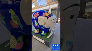 🐘 Quick  Elmers in Doncaster 🐘 12 to find shorts doncaster elmer fun [upl. by Anairda]