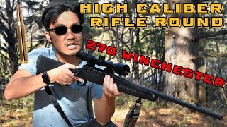 Shooting 270 Winchester High Caliber Rifle Round [upl. by Carolin]