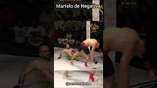 Martelo de negativa kick capoeira capoeira mma ufc [upl. by Blaise]