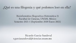 ¿Qué es una filogenia y qué podemos interpretar en ella [upl. by Lindo]