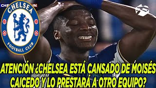 ATENCIÓN ¿CHELSEA ESTÁ CANSADO DE MOISÉS CAICEDO Y LO PRESTARÁ A OTRO EQUIPO [upl. by Braasch]