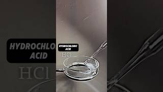 Hydrochloric and more acid experiment experiment chemical chemistry education shorts youtube [upl. by Trixie]