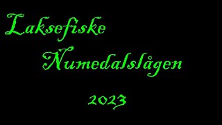 Laksefiske Numedalslågen 2023 [upl. by Hieronymus]