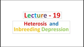 Lecture  19 Heterosis and Inbreeding Depression [upl. by Iztim]