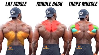 TOP 5 LAT MIDDLE BACK AND TRAPS WORKOUT WITH DUMBBELLS ONLY AT HOME OR GYM [upl. by Trisa]